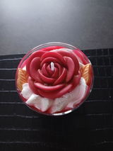 Delphine review photo