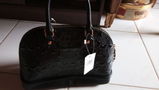 Fani review photo