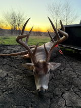 TX Hunter review photo