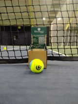 Alexis JuniorTennis review photo