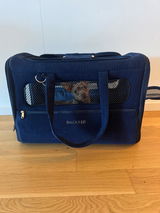 Jan review photo