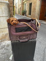 Angi & Teddy sind in Love mit Balouver review photo