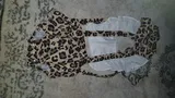 Laverne Daugherty review photo