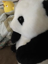 Jennifer review photo