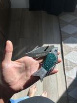 Etsy customer review photo