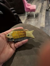 Etsy customer review photo