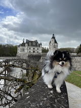 Magali Fortin review photo