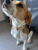 Devillers Lea review photo