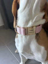 Devillers Lea review photo