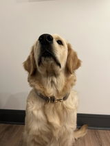 Constance review photo