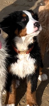 Maddy review photo