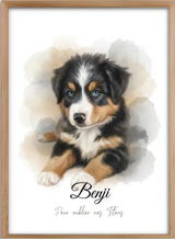Benji review photo