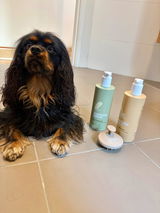 Jude review photo