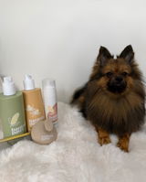 Baxter review photo