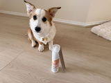 Isabelle Summers & Maple review photo