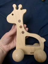 LIsa R. review photo