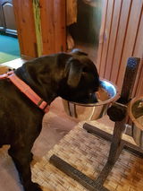 Christina L. review photo