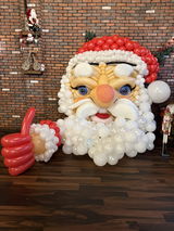 Sabina Shnaidman review photo