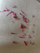 Anonymous review photo