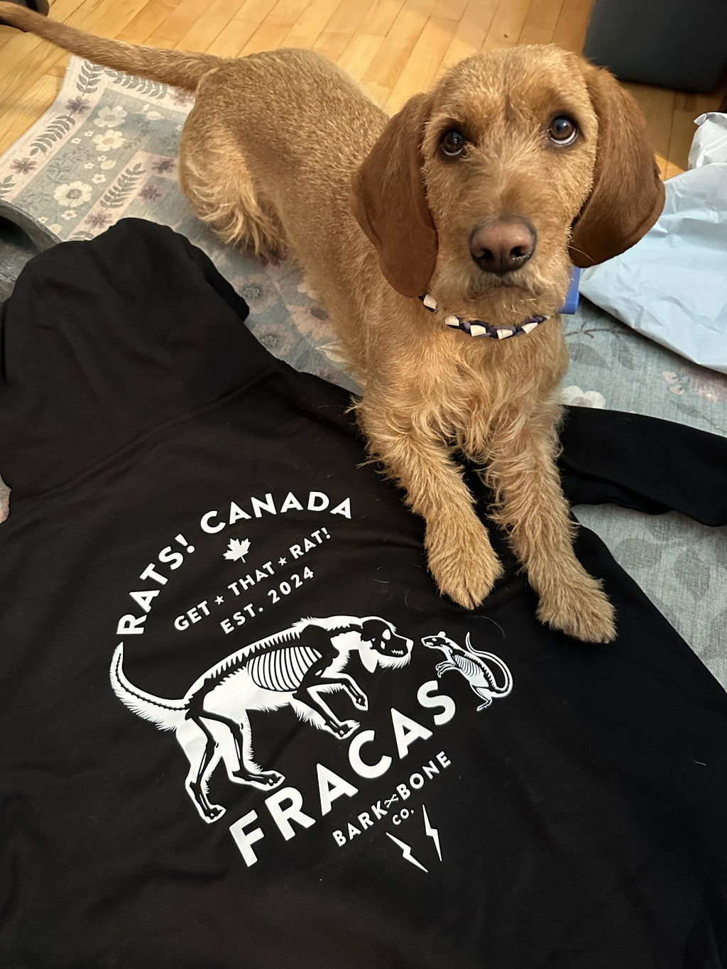 Apparel - Rats! Canada Edition