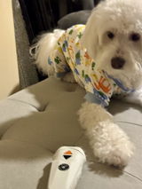 Lucy review photo