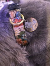 Jenn Ellis review photo