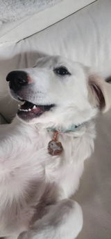 Etsy customer review photo
