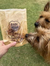 Murphy & Finn The Aussie Terriers review photo