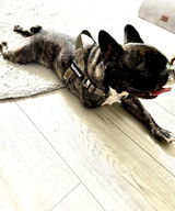 Tina Sargeant review photo
