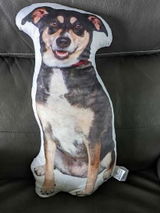 Jewnnifer Mize review photo