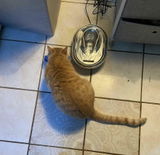 test end review photo