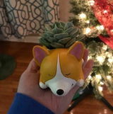 Joey T review photo