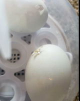 Joanne J. review photo