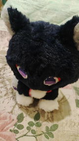 Michael Jones review photo
