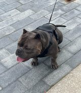 Fenny review photo