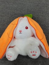 Rudy review photo
