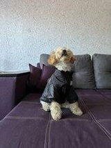shaneikwa houston review photo