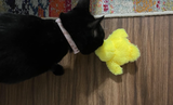 Milly review photo