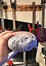 Tracy review photo