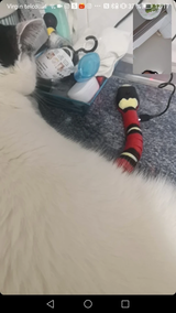 Linda review photo
