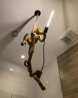 Casandra review photo