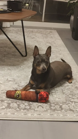 Customer review photo