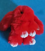 Clara review photo