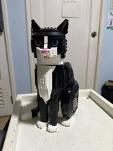 Tom B review photo
