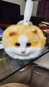 山田 美猫 review photo