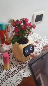 ソウ review photo