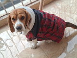 Mylo,s fav jackets review photo