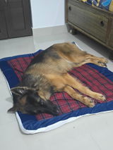 Varsha review photo