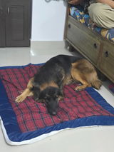 Varsha review photo
