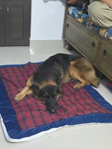 Varsha review photo